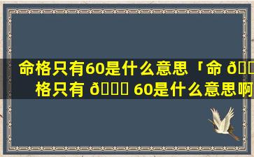 命格只有60是什么意思「命 🐺 格只有 🐈 60是什么意思啊」